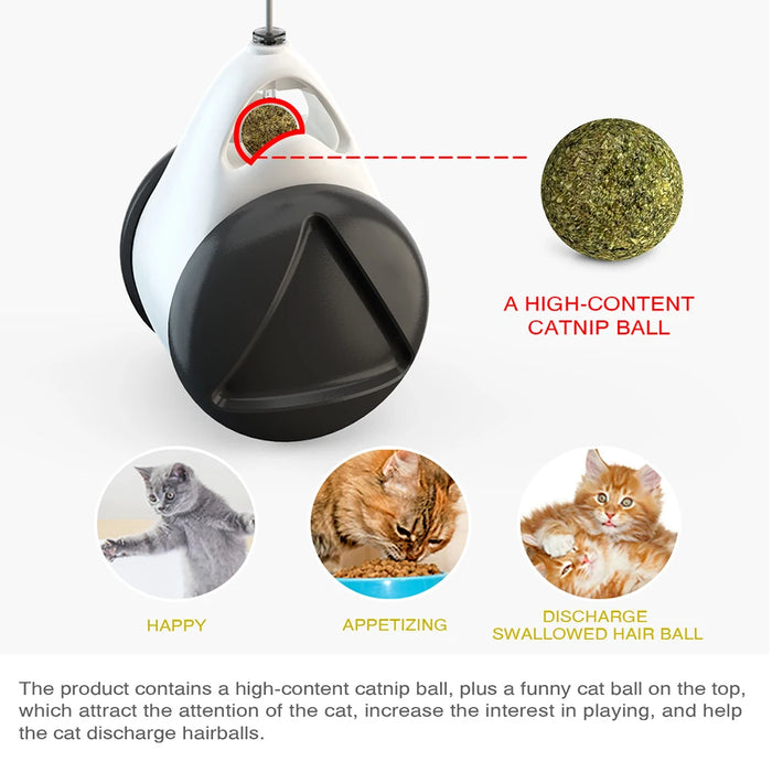 Cat Funny Tumbler Swing Toy