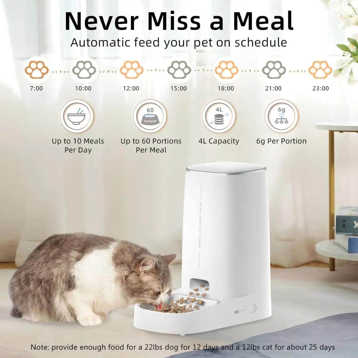 Wireless Automatic Pet Feeder - Moment Pets