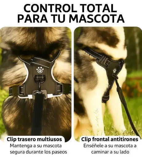 Arnés LED Ergonómico "BrilloSeguro" para mascotas | Paseo y Seguridad - Envío gratis Chile