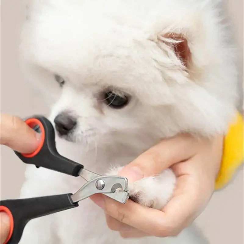 Cortaúñas para Mascotas "UñaSegura" para mascotas | Mascotas - Envío gratis Chile
