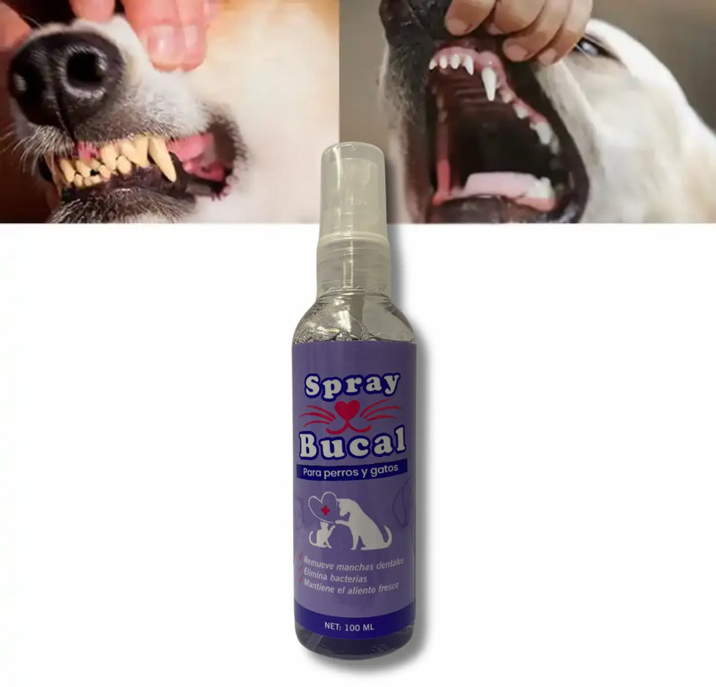 Spray Bucal para la Higiene Dental de tu Mascota para mascotas | Aseo y Cuidado - Envío gratis Chile 