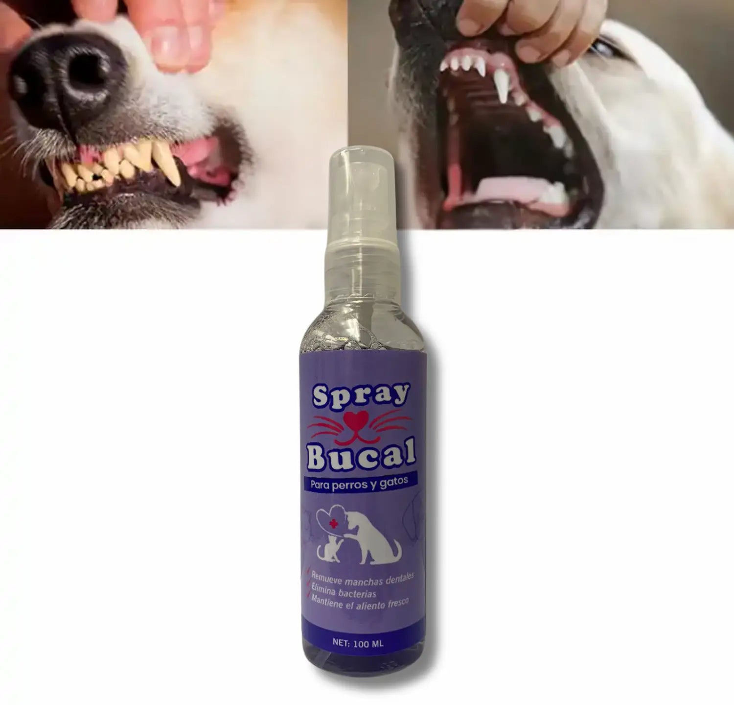 Spray Bucal para la Higiene Dental de tu Mascota para mascotas | Aseo y Cuidado - Envío gratis Chile 