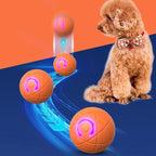 Juguete Saltarín para Perros "SaltoActivo" para mascotas | Juguetes - Envío gratis Chile