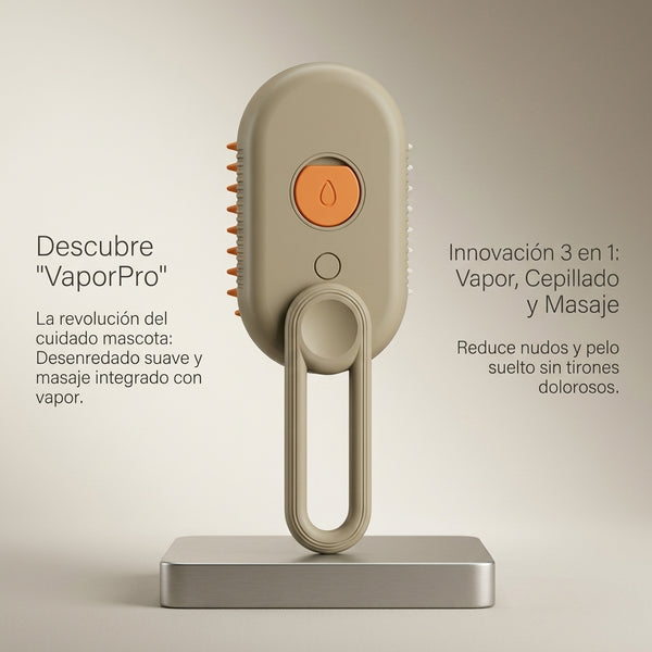 Cepillo VaporPro 3 en 1