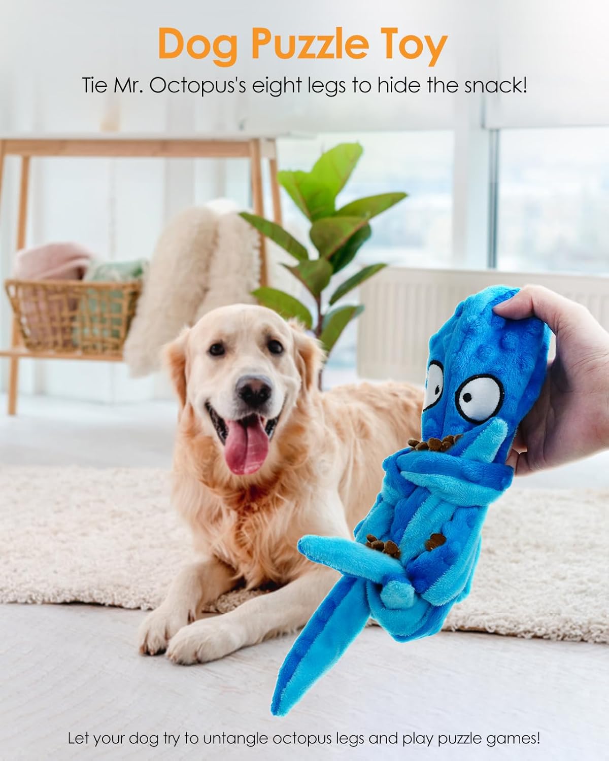 OctoFun Squeaky Dog Toys - Moment Pets