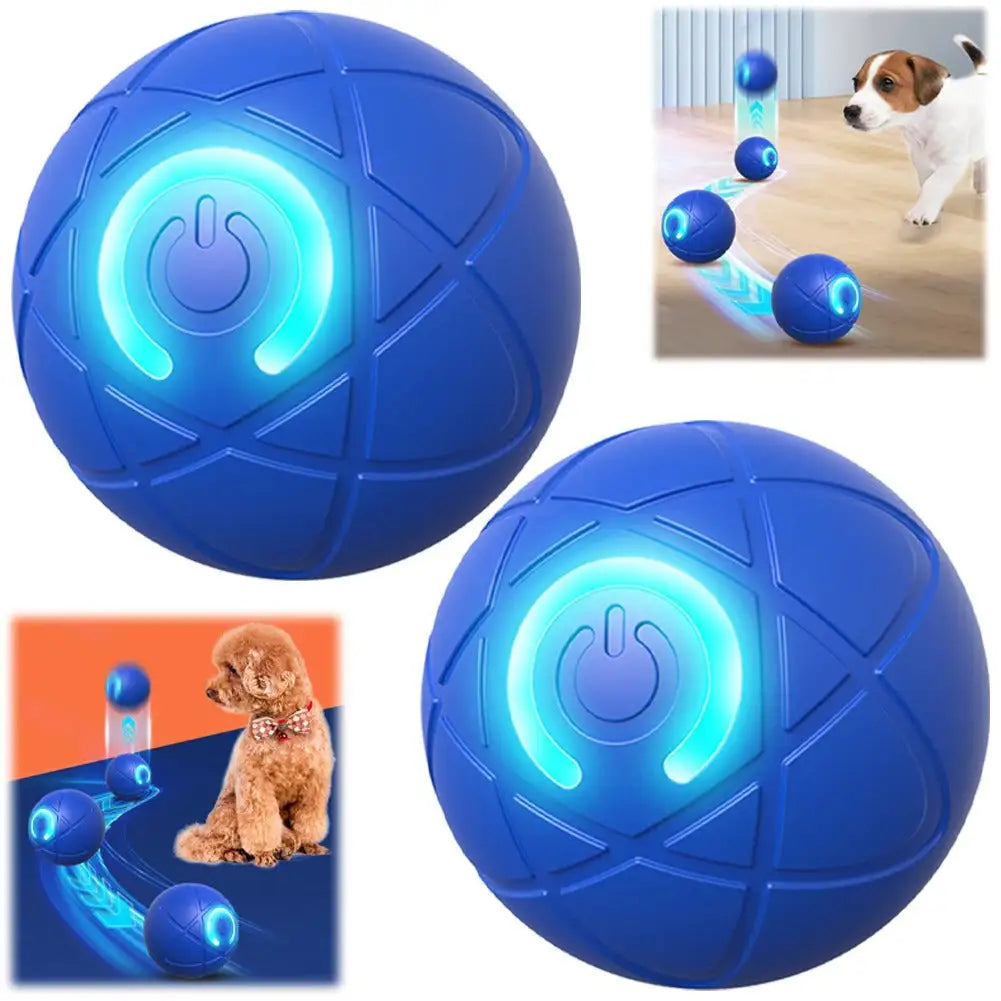 Juguete Saltarín para Perros "SaltoActivo"