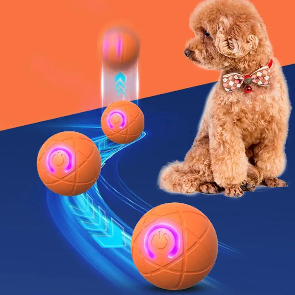 Juguete Saltarín para Perros "SaltoActivo"