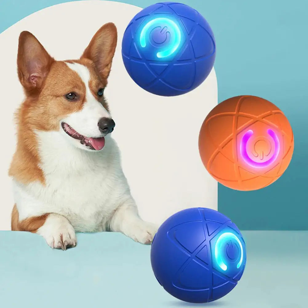 Juguete Saltarín para Perros "SaltoActivo"